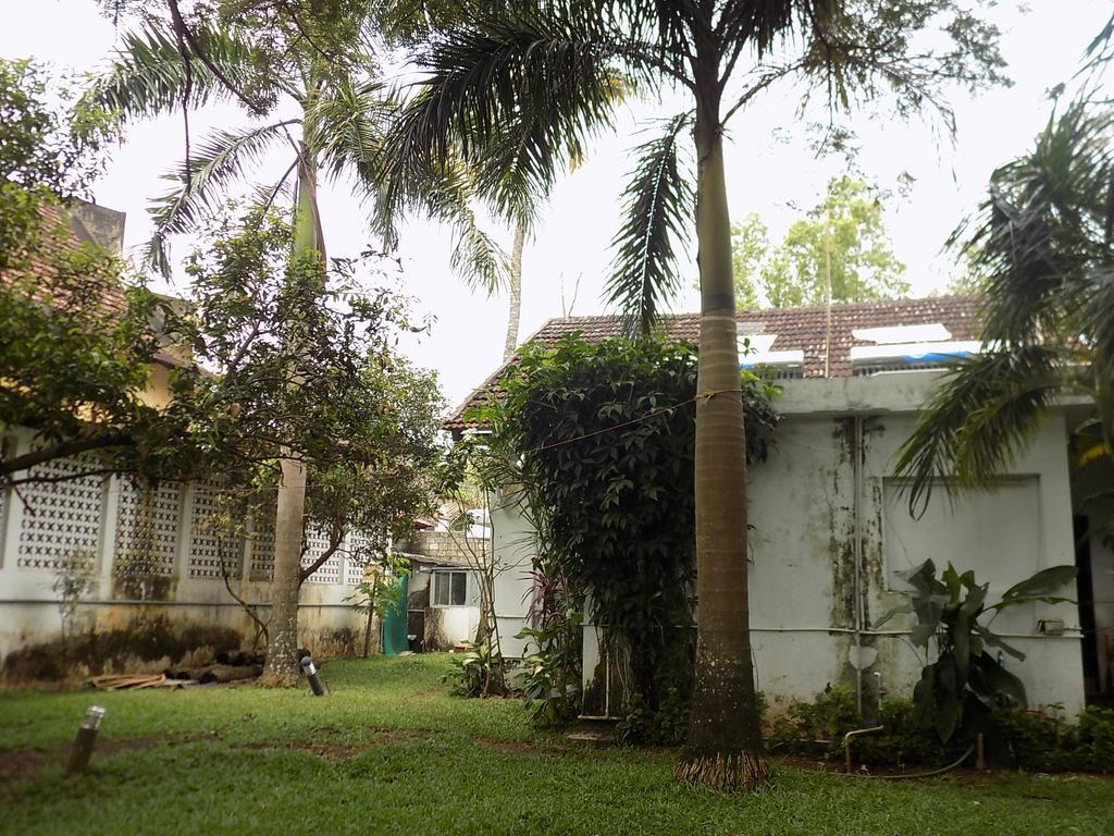 Bed and Breakfast Elphinstone Residencia Kochi Exterior foto